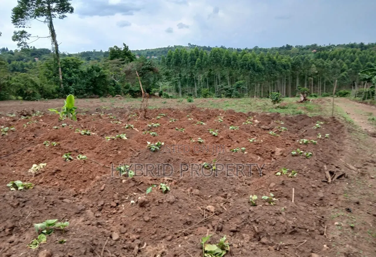 Prime Plots for Sale at Gobero~Kasude Kakiri Land Estate~Hoima Road.
