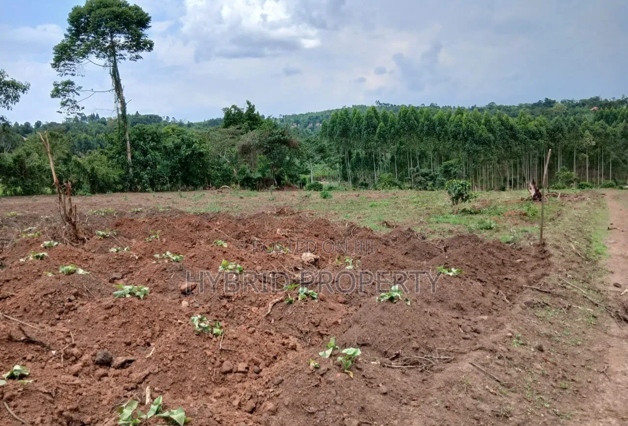 Prime Plots for Sale at Gobero~Kasude Kakiri Land Estate~Hoima Road.