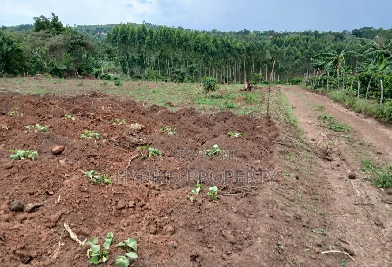 Prime Plots for Sale at Gobero~Kasude Kakiri Land Estate~Hoima Road.