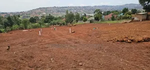 * Hill View Plots for Sale - Ssisa Hill*