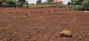 * Hill View Plots for Sale - Ssisa Hill*