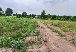 Prime Plots for Sale at Nampunge~Kakiri Harmony Land Estate~Hoima Road