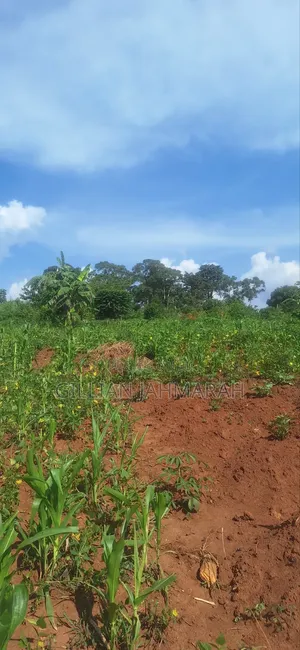 50 by 100 in Kasangati at 45m