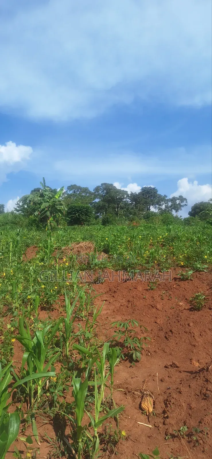 50 by 100 in Kasangati at 45m
