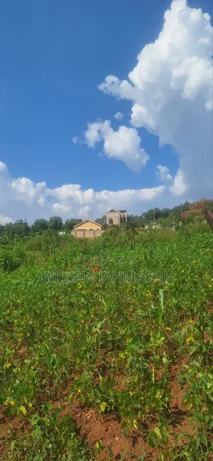 50 by 100 in Kasangati at 45m