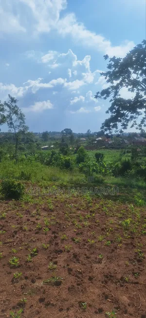 50 by 100 in Kasangati at 45m