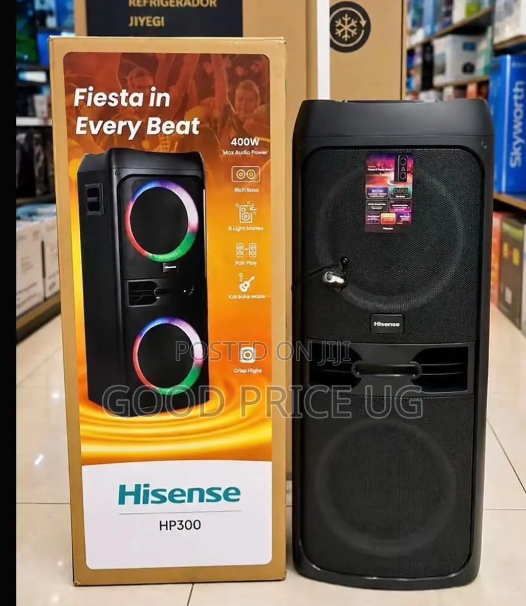 Hisense HP300 Party DJ Speaker,