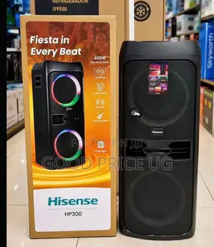 Hisense HP300 Party DJ Speaker,