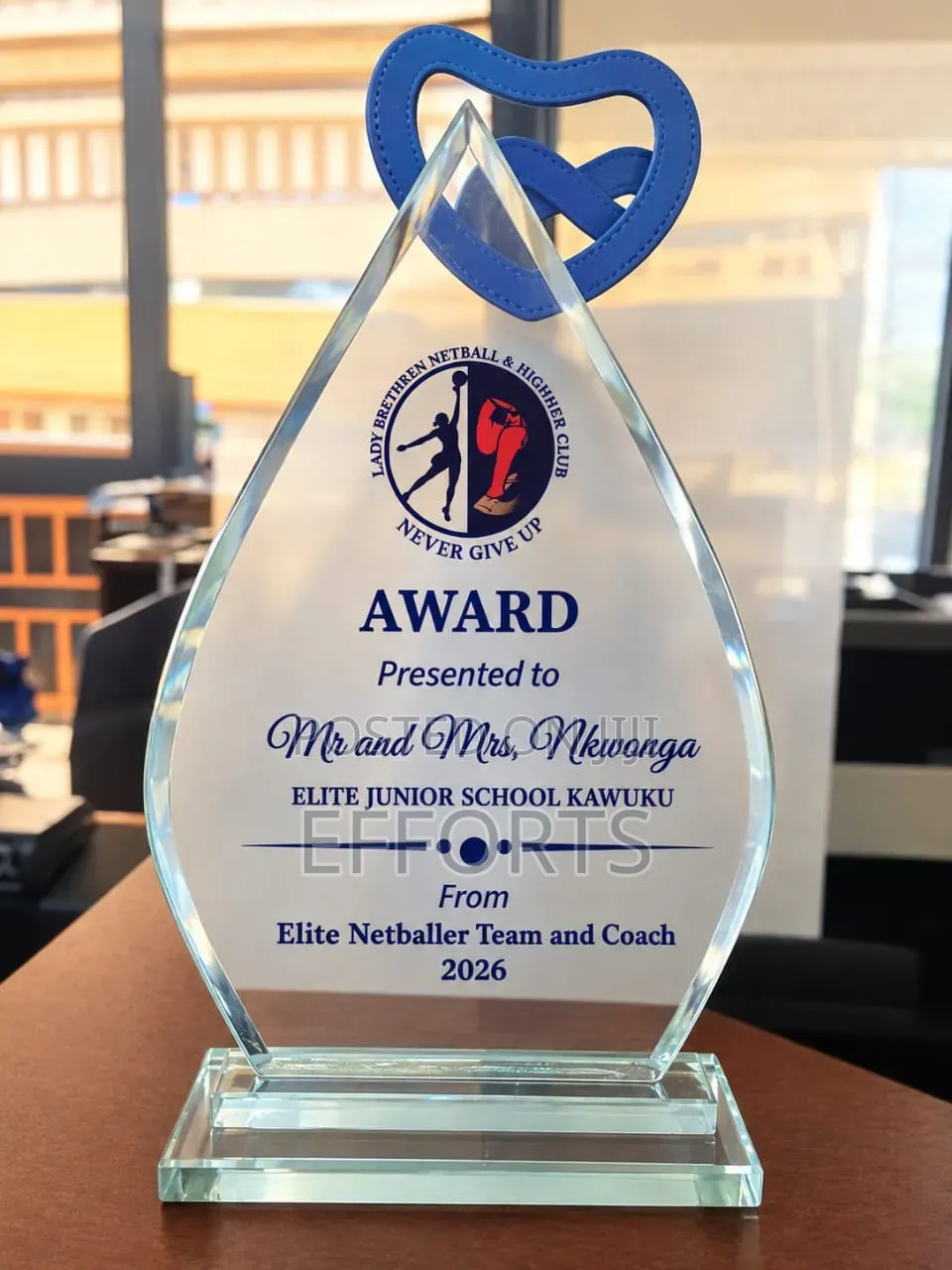 Awards and Accolades