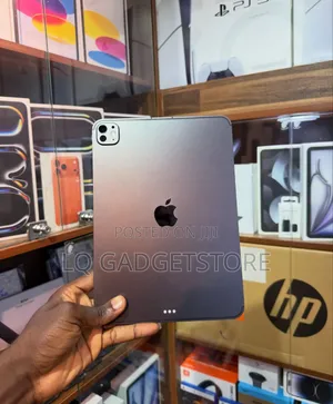 Apple iPad Pro 11 (2024) 256 GB Gray