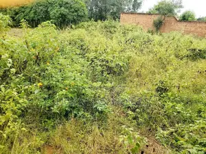 Half Acre for Sale in Arua City