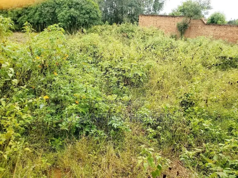 Half Acre for Sale in Arua City