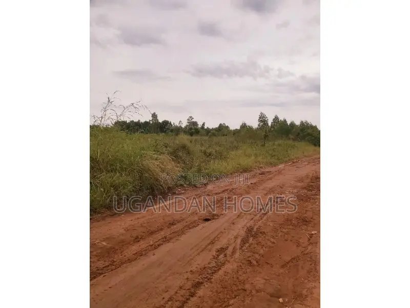 Half Acre for Sale in Arua City