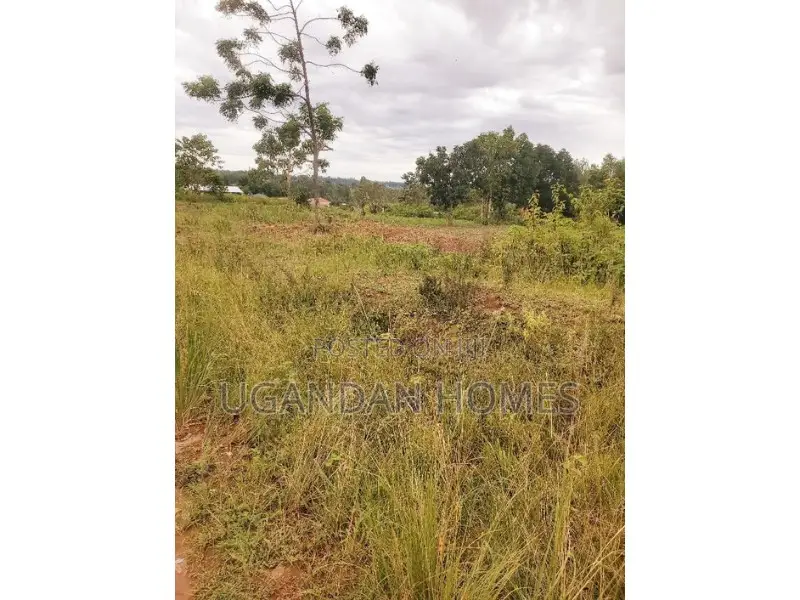 Half Acre for Sale in Arua City