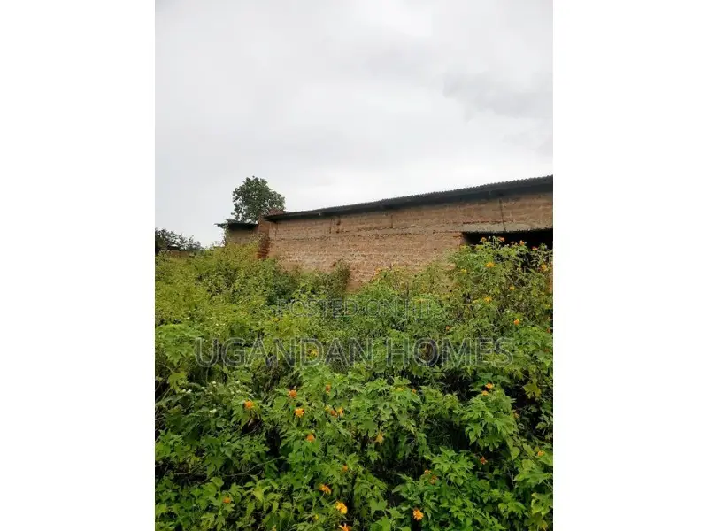 Half Acre for Sale in Arua City