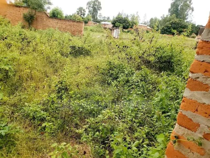Half Acre for Sale in Arua City