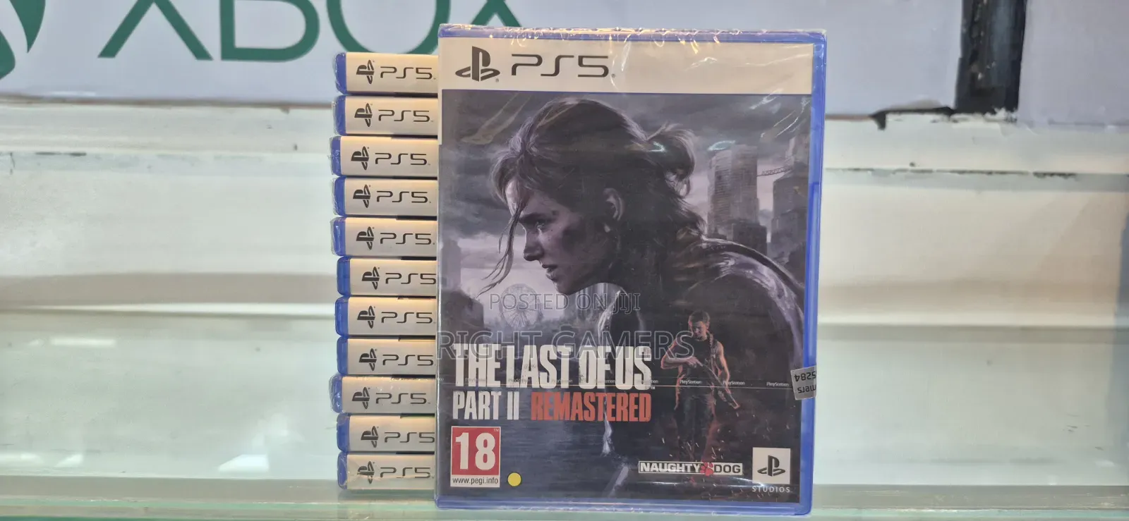 The Last of Us Part 2 PS5 Game