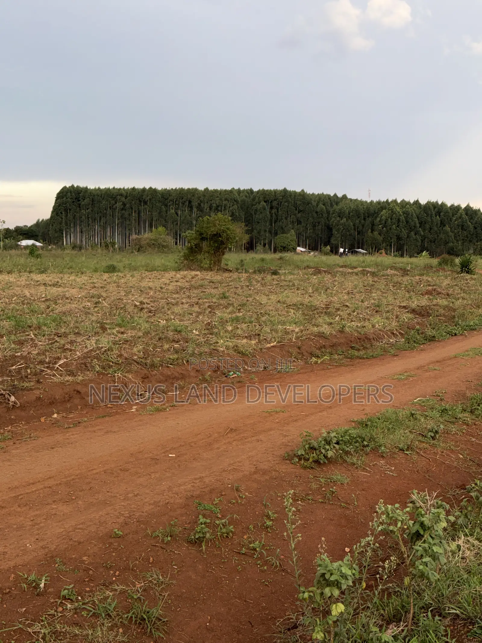 75 Acres of Land Myanzi Kigalama With Lake Wamala View