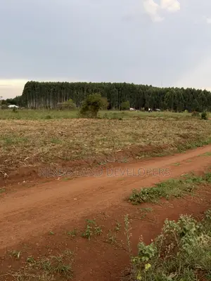 75 Acres of Land Myanzi Kigalama With Lake Wamala View