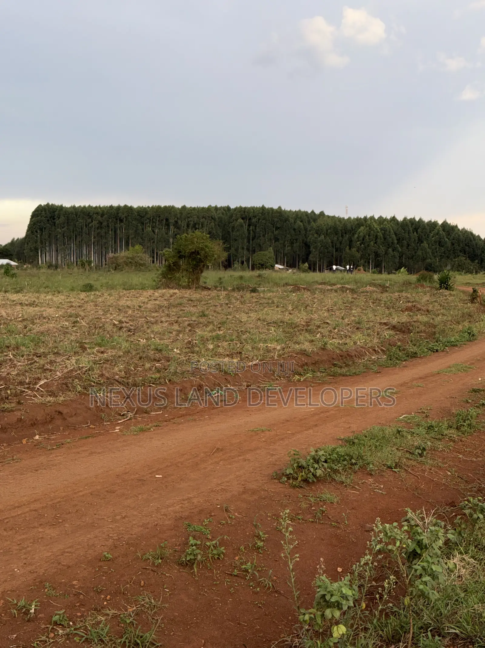 75 Acres of Land Myanzi Kigalama With Lake Wamala View