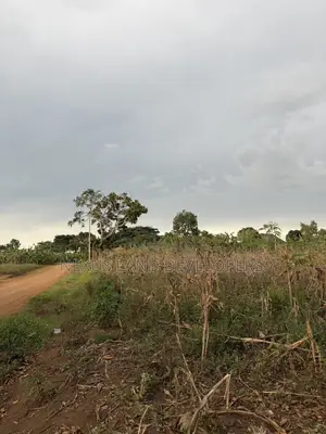 75 Acres of Land Myanzi Kigalama With Lake Wamala View