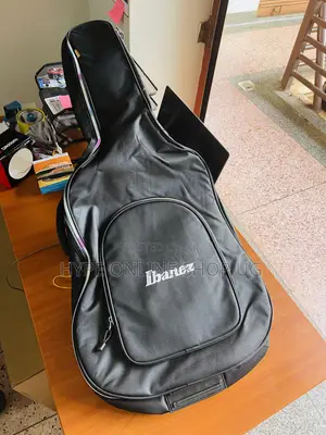 BrandNew Acoustic Strong Guitar Bags