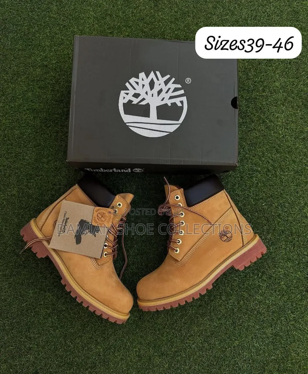 Damian Shoe Collection Ug