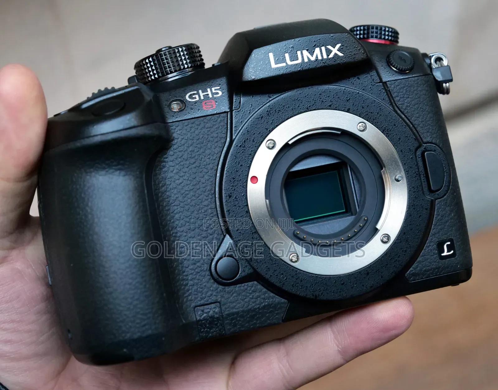 Panasonic Lumix Gh5s+14 140mm