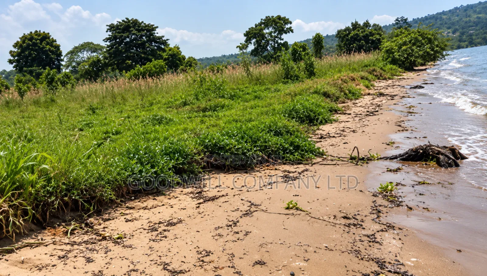 10 Acres of Beach Land in Bubwa Nkokonjeru Touching Lake Victoria