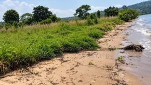 10 Acres of Beach Land in Bubwa Nkokonjeru Touching Lake Victoria