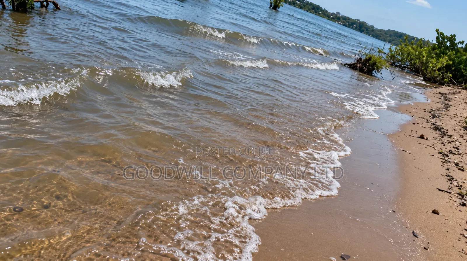 10 Acres of Beach Land in Bubwa Nkokonjeru Touching Lake Victoria