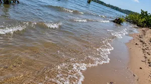 10 Acres of Beach Land in Bubwa Nkokonjeru Touching Lake Victoria