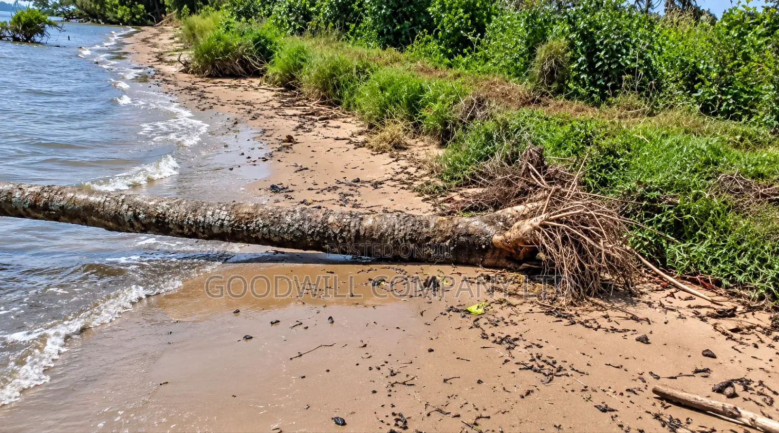 10 Acres of Beach Land in Bubwa Nkokonjeru Touching Lake Victoria