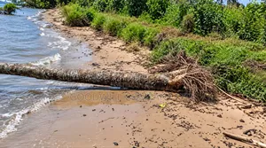 10 Acres of Beach Land in Bubwa Nkokonjeru Touching Lake Victoria