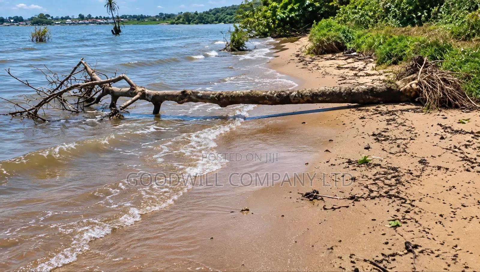 10 Acres of Beach Land in Bubwa Nkokonjeru Touching Lake Victoria
