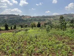 An Acre of Fertile Land at Buwalula Only 4kms Off the Main Road