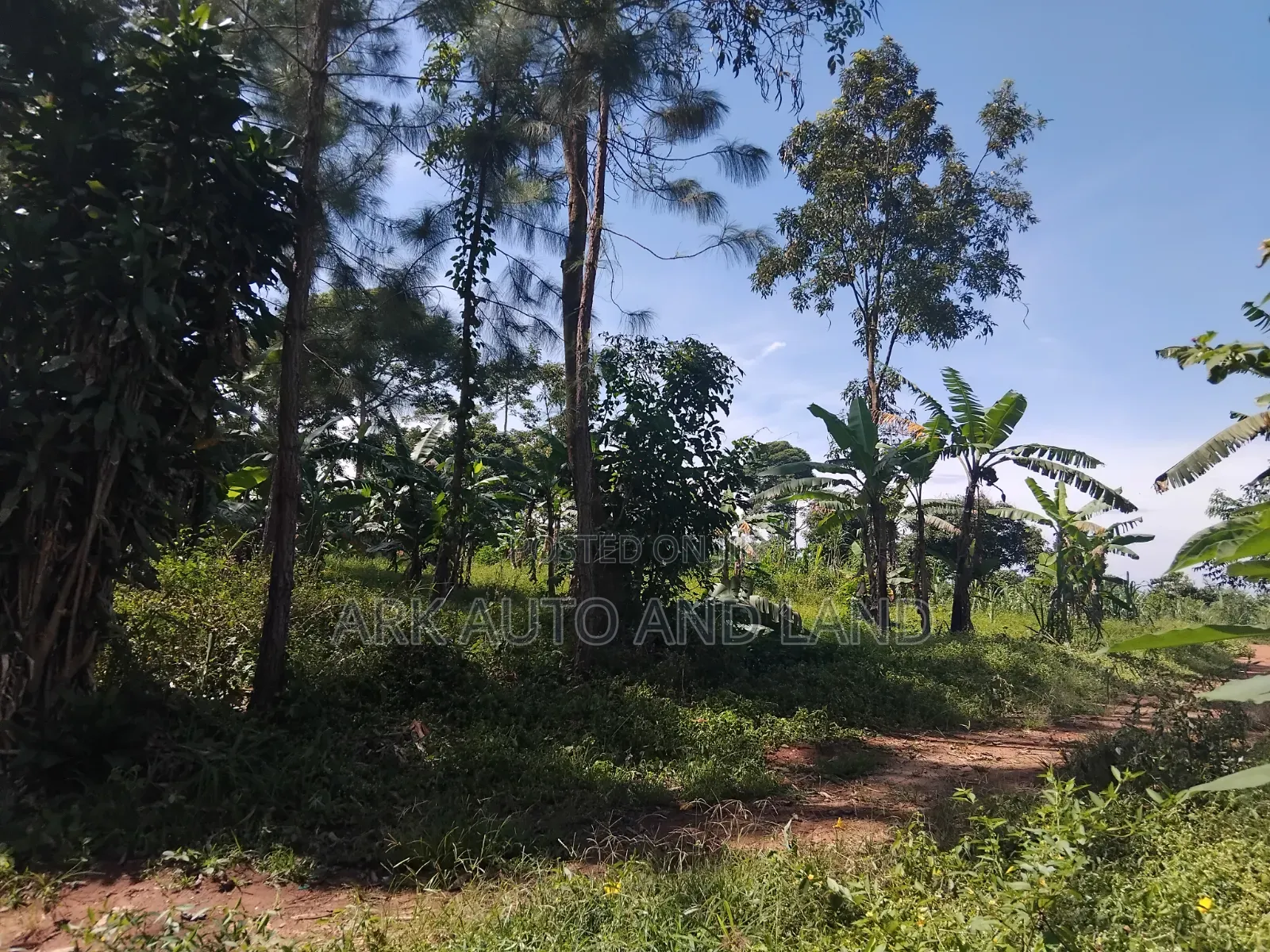 Land for Sale
