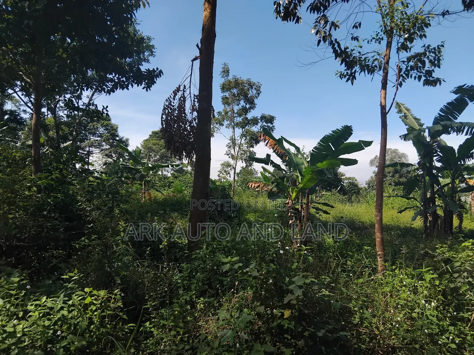 Land for Sale