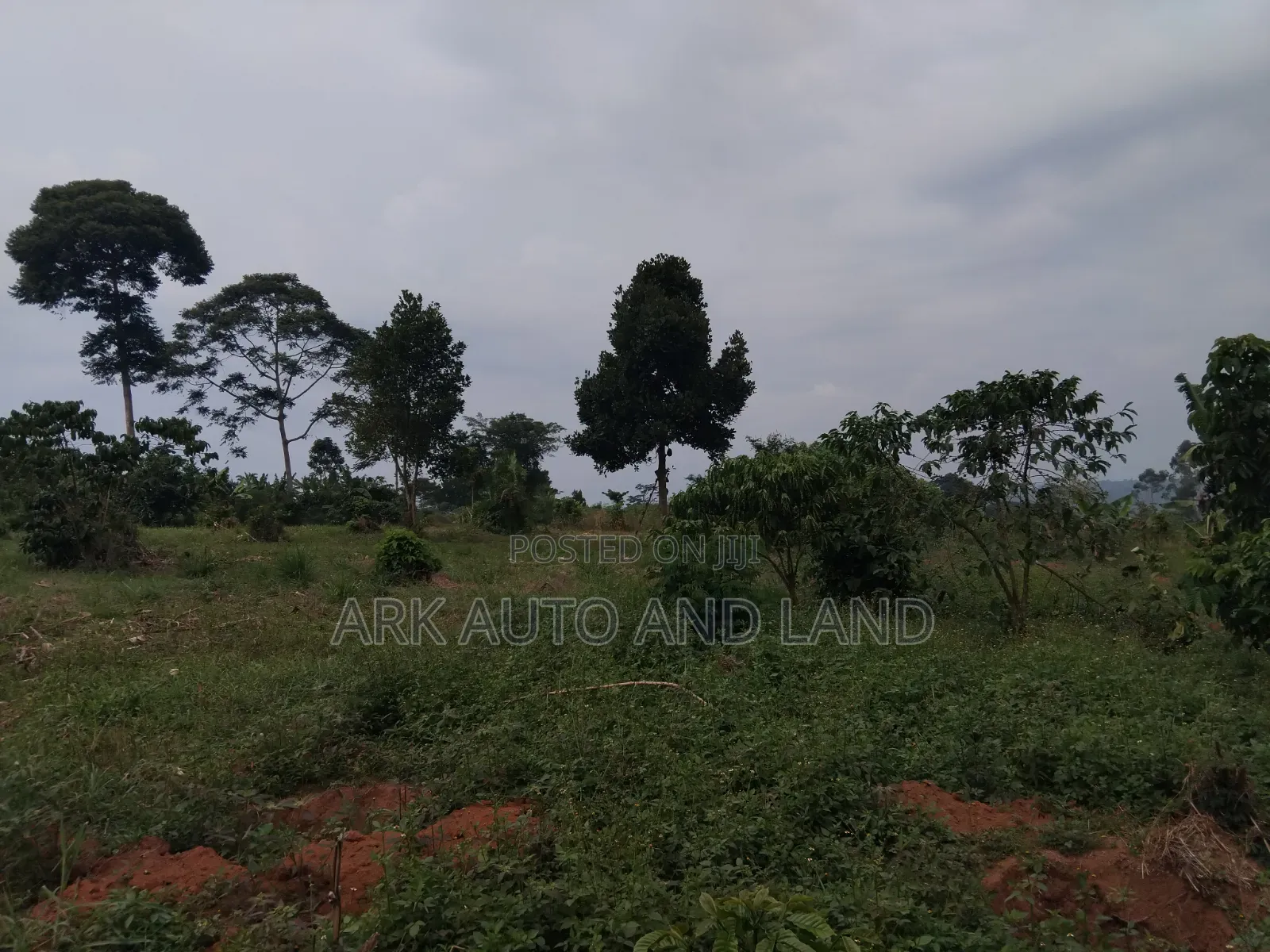Land for Sale
