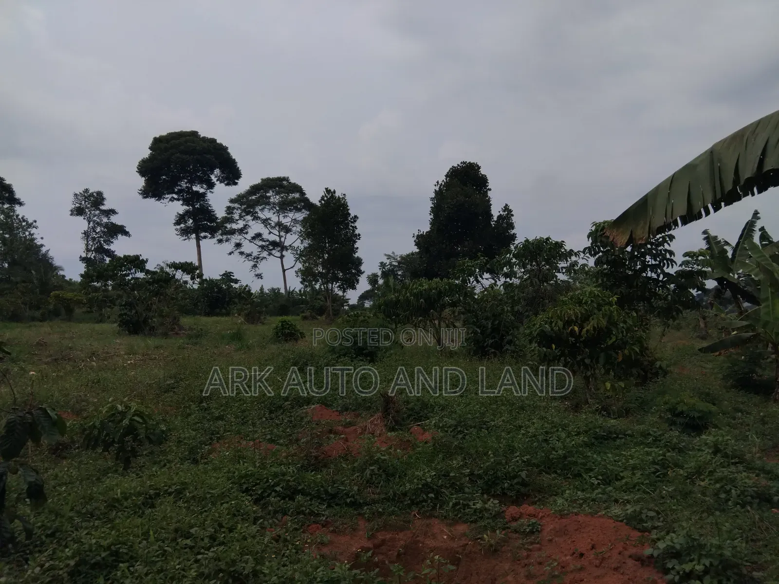 Land for Sale