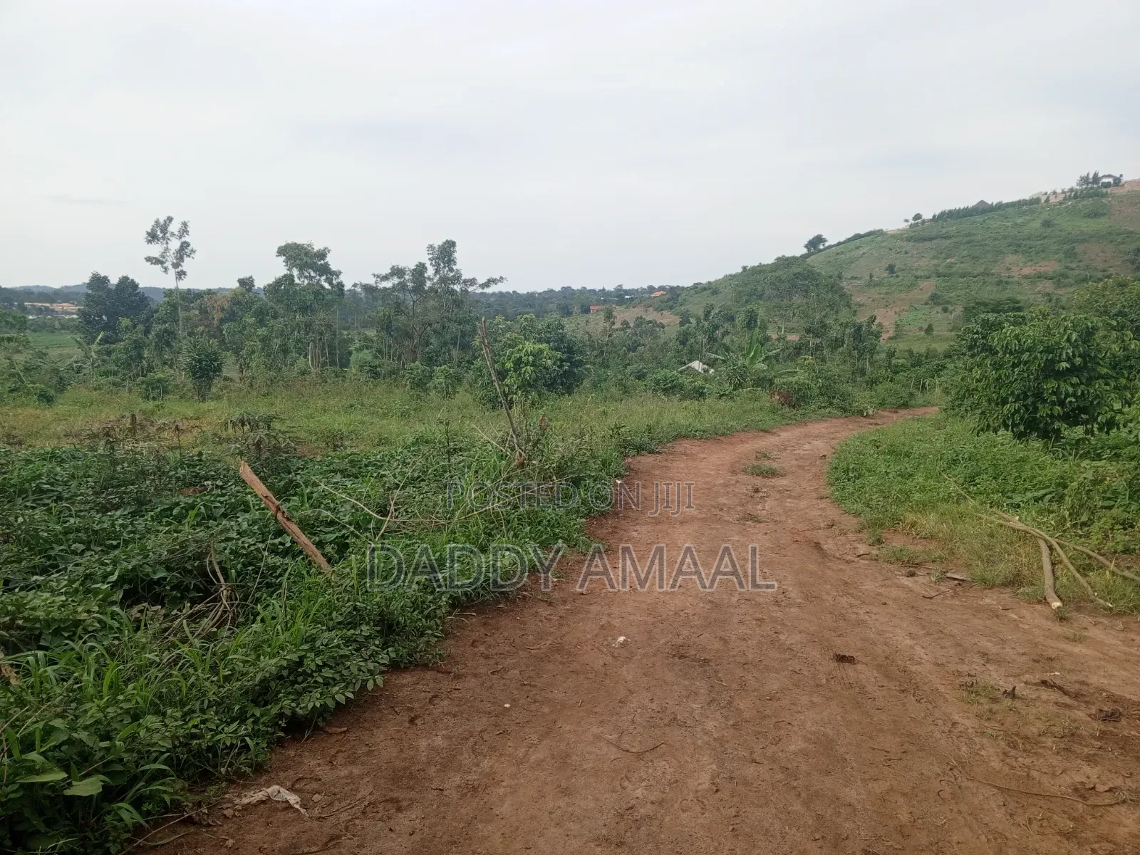 Nampunge 1.5km Private Mailo Land.