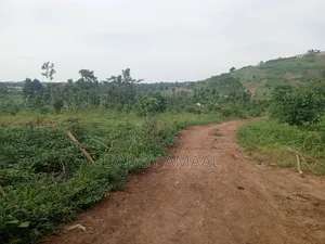 Nampunge 1.5km Private Mailo Land.