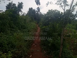 Nampunge 1.5km Private Mailo Land.