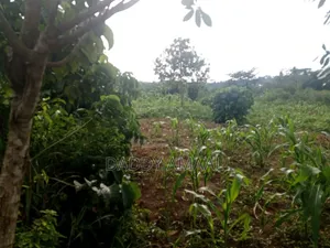 Nampunge 1.5km Private Mailo Land.