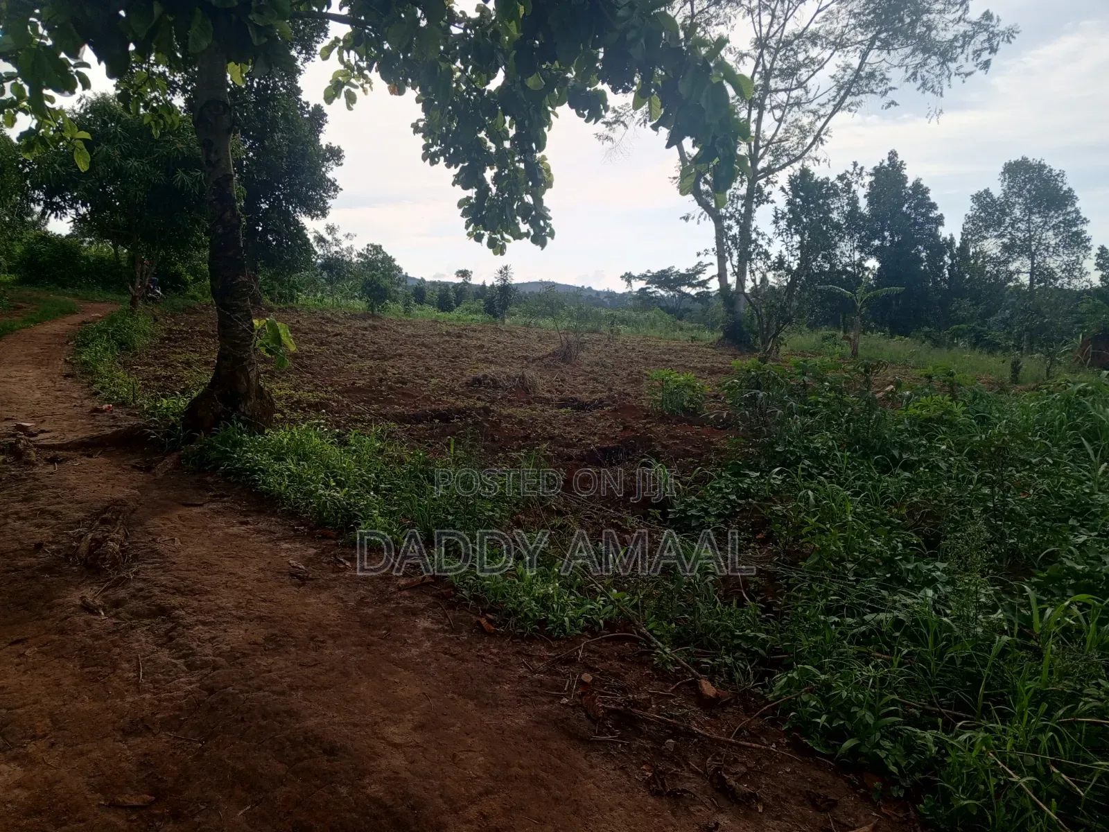Nampunge 1.5km Private Mailo Land.