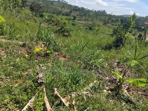 Mukono Land