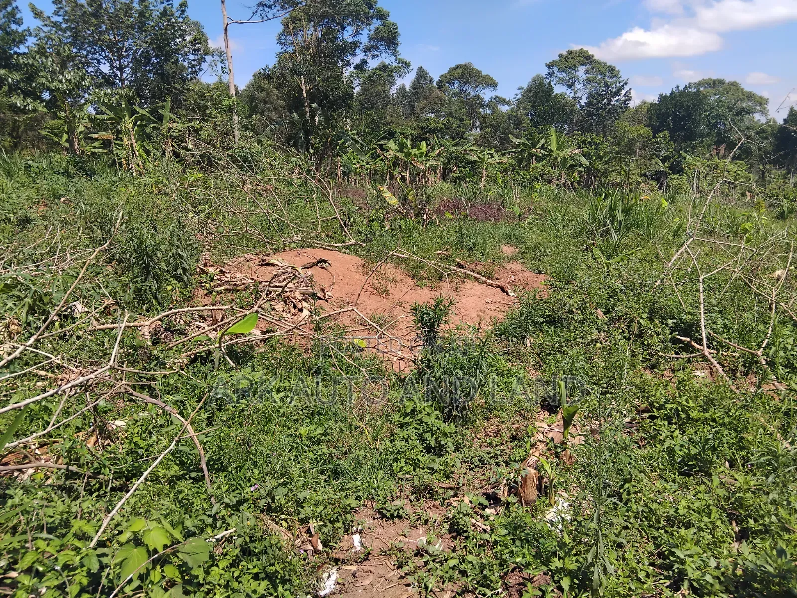 Mukono Land