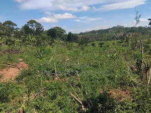 Mukono Land