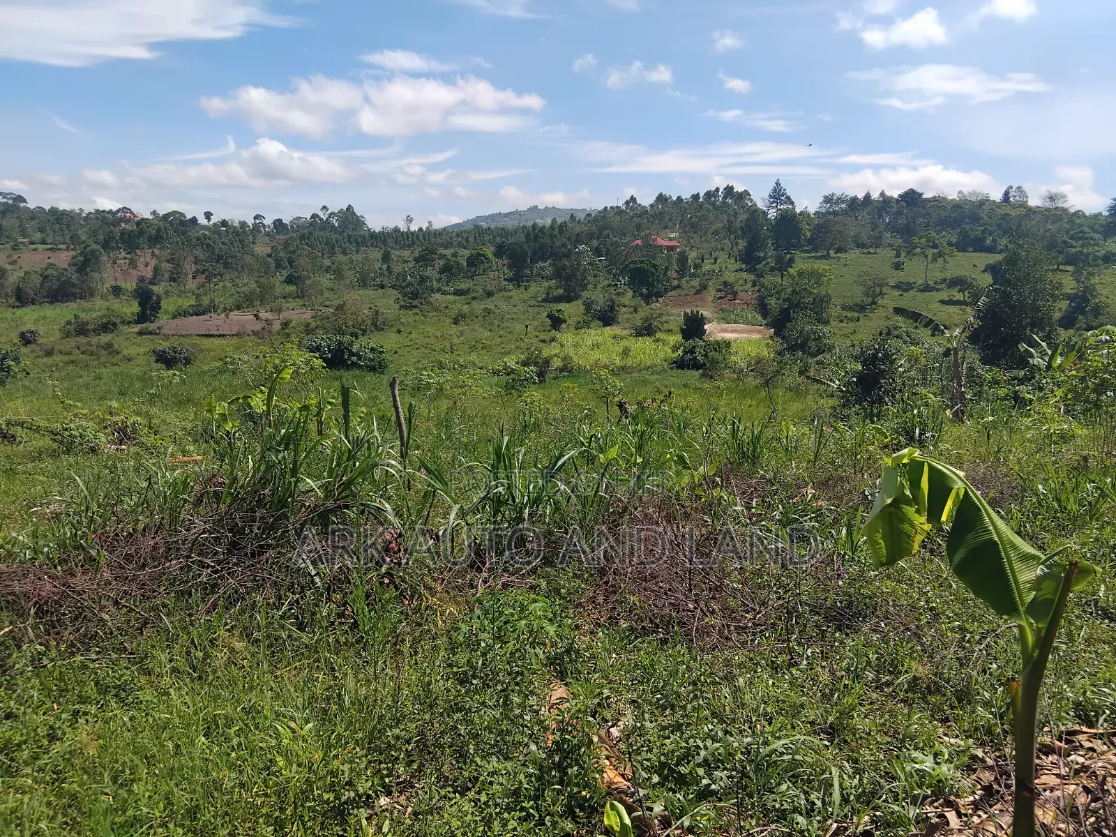 Mukono Land