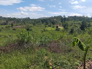 Mukono Land